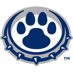 drake-bulldogs-alternate-logo-2011-present